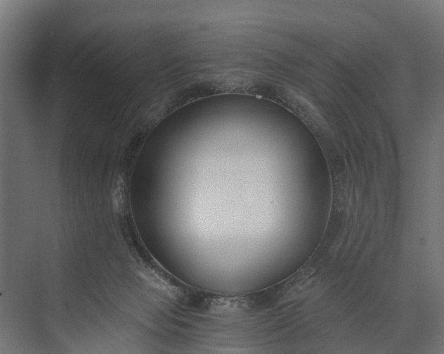 X0000073860077200608241119