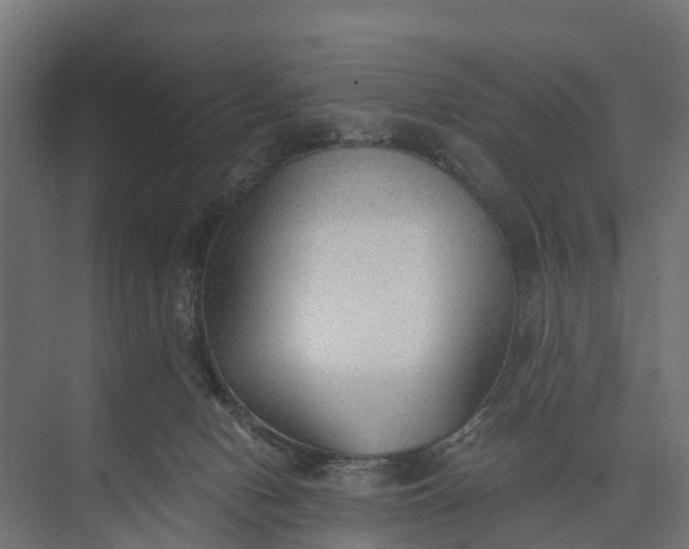 X0000073860078200608241119