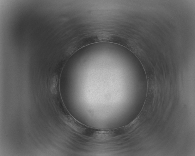 X0000073860082200608241119