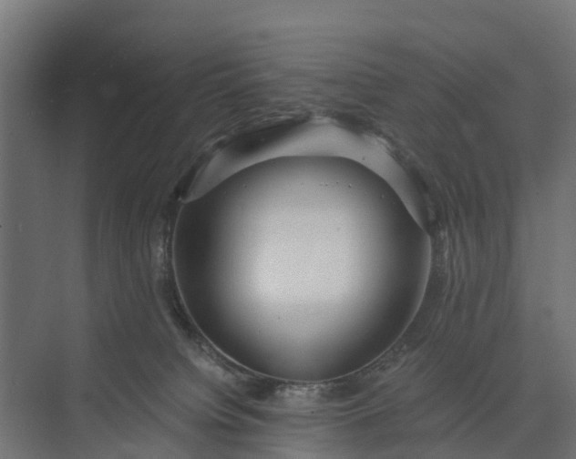 X0000073860084200608241120