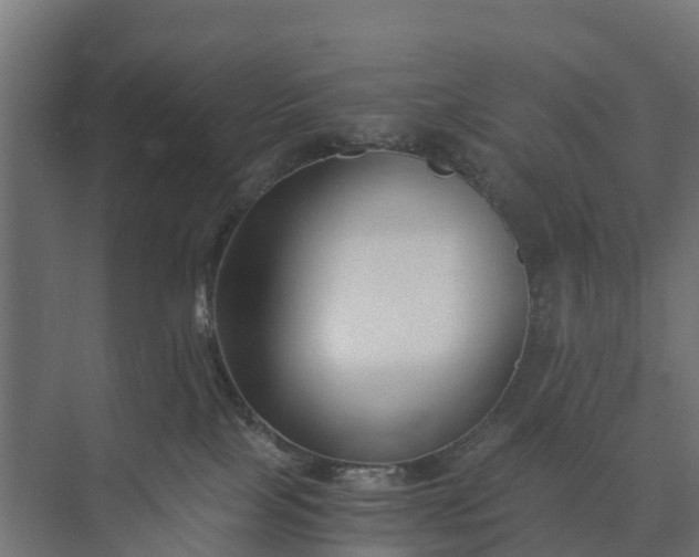 X0000073860089200608241120