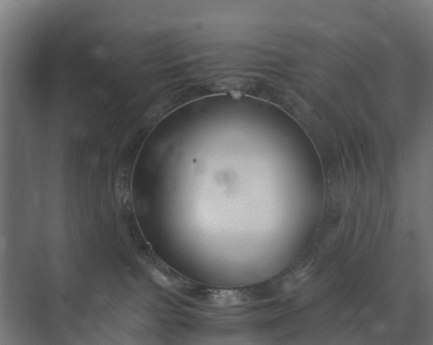 X0000073860091200608241120