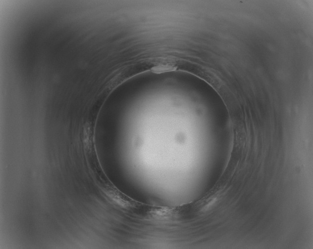 X0000073860092200608241120