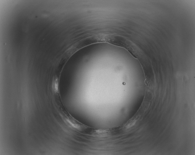 X0000073860095200608241120