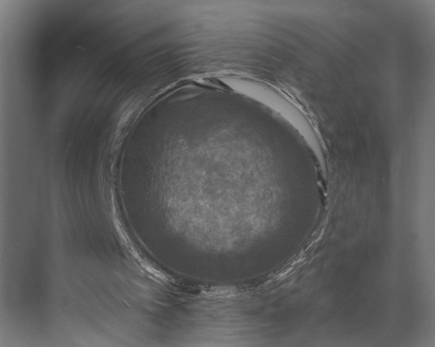 X0000073860097200608241119