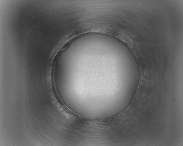 X0000073860098200608241119