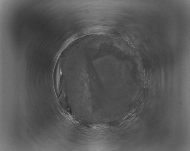 X0000073860099200608241119