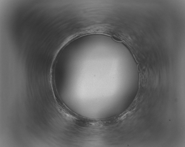 X0000073860100200608241119