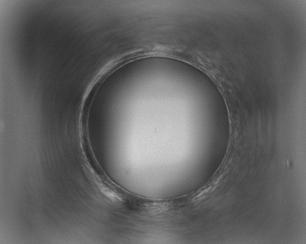 X0000073860102200608241119