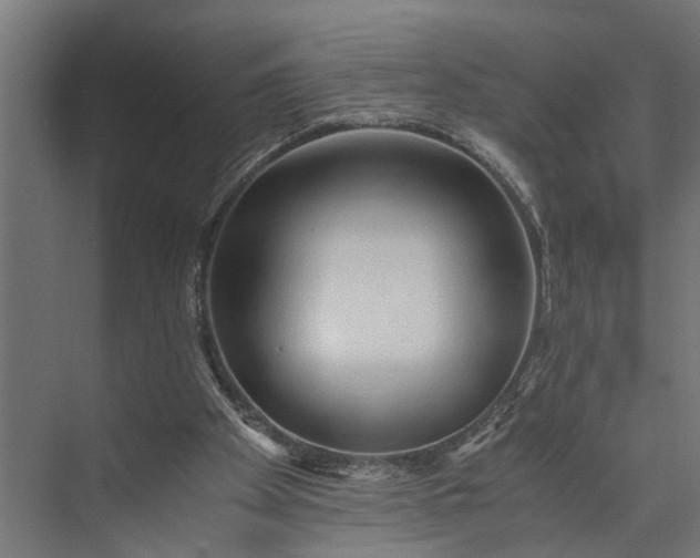 X0000073860105200608241119