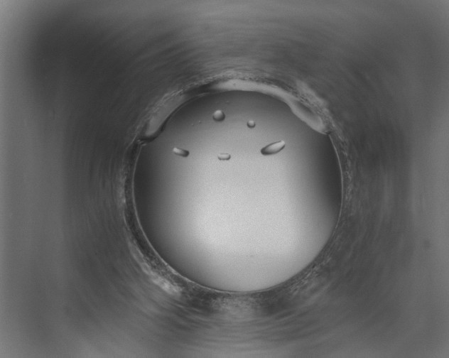 X0000073860106200608241119