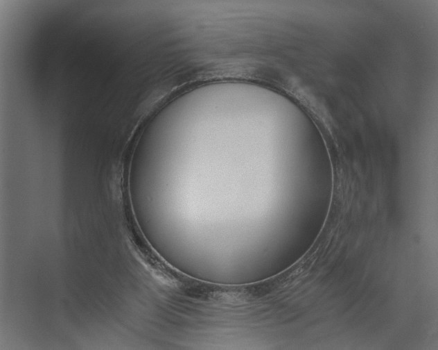 X0000073860107200608241119