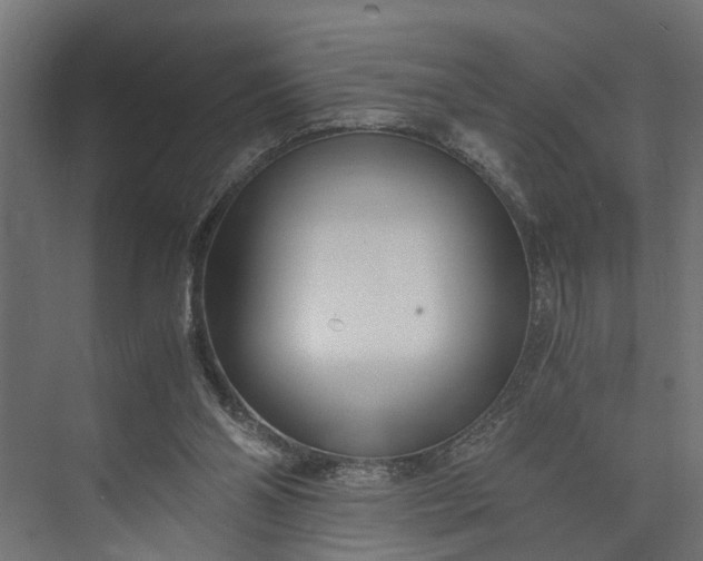 X0000073860110200608241119