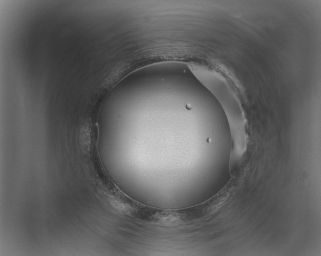 X0000073860113200608241119