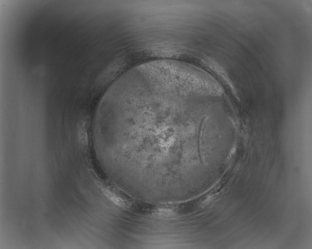 X0000073860114200608241119