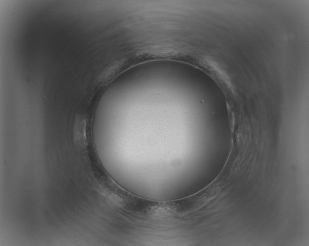 X0000073860115200608241119