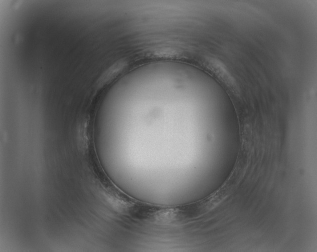 X0000073860116200608241119