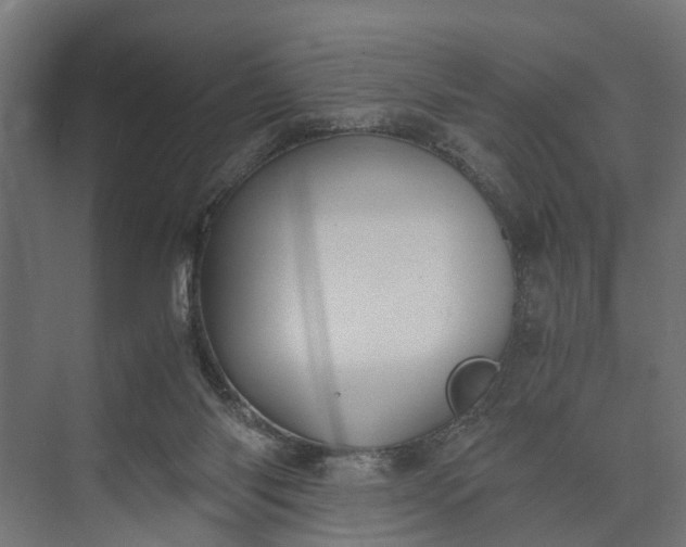 X0000073860118200608241119