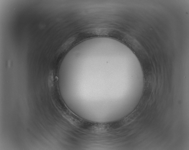 X0000073860120200608241119