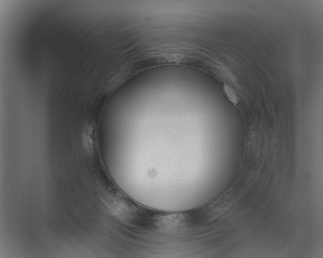 X0000073860122200608241118