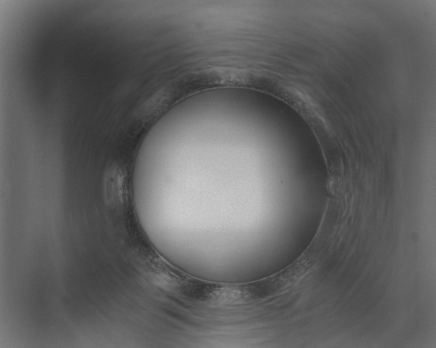 X0000073860123200608241118