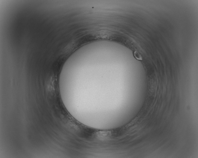 X0000073860126200608241118