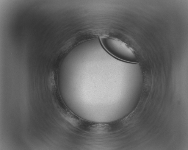 X0000073860128200608241118