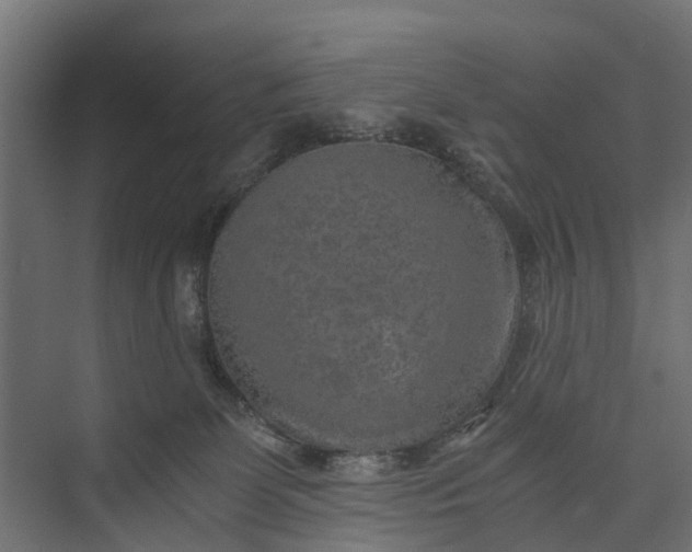 X0000073860131200608241118