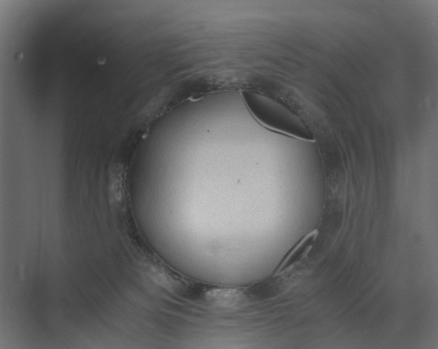 X0000073860133200608241118