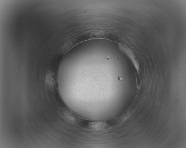 X0000073860135200608241118