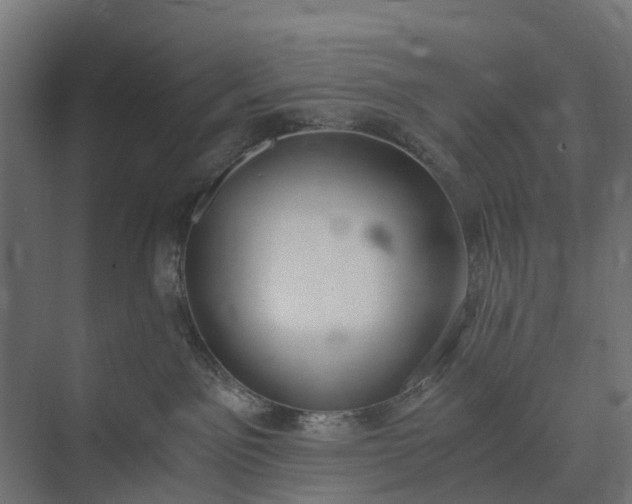 X0000073860141200608241118