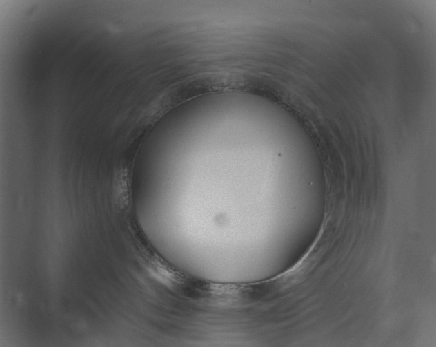 X0000073860144200608241118