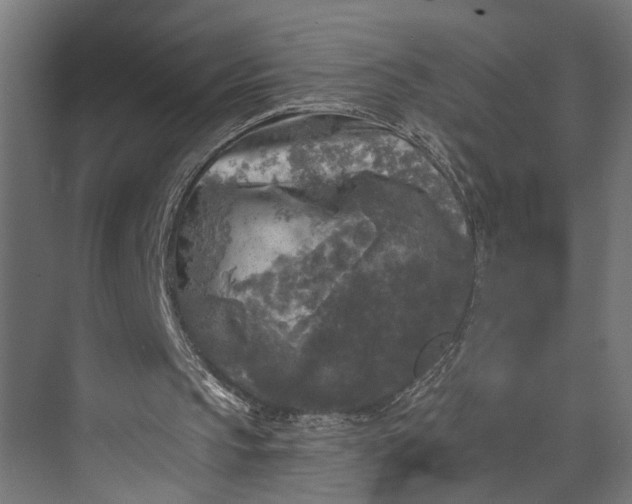 X0000073860145200608241117