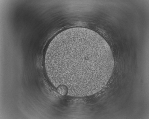 X0000073860146200608241117