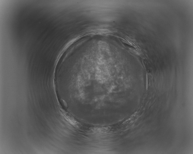 X0000073860147200608241117