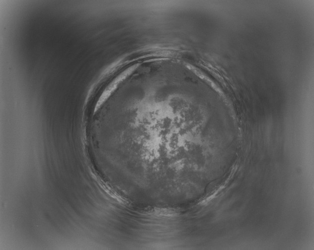 X0000073860149200608241117