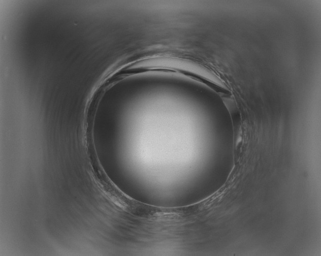 X0000073860150200608241117