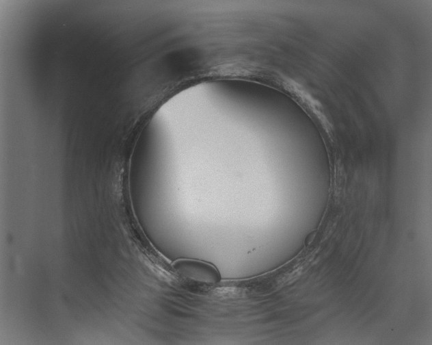 X0000073860153200608241117