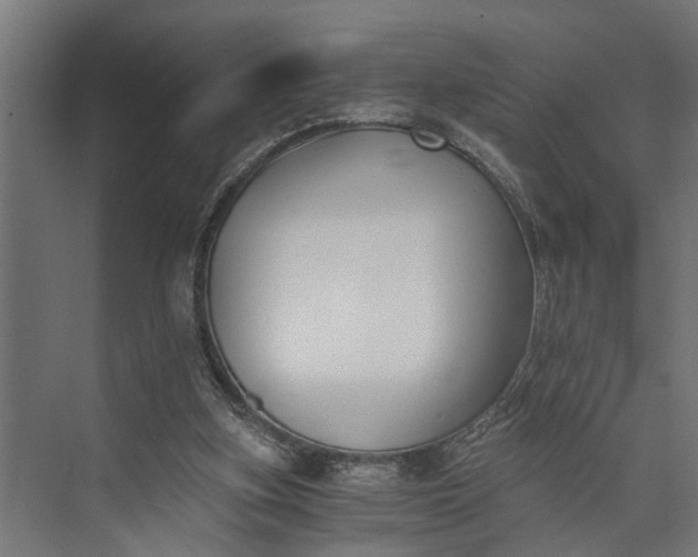 X0000073860155200608241117