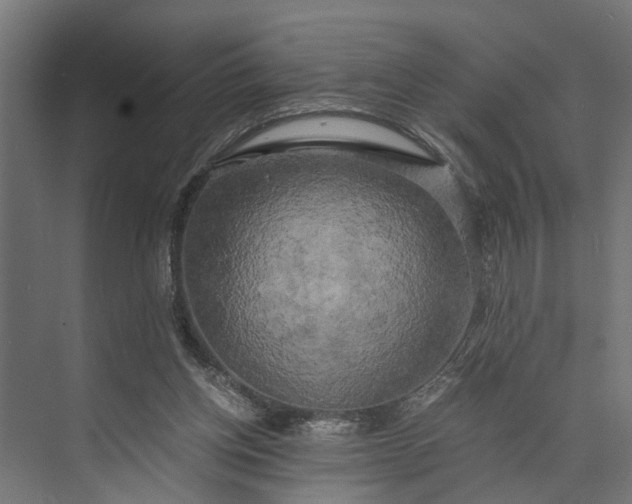 X0000073860158200608241118