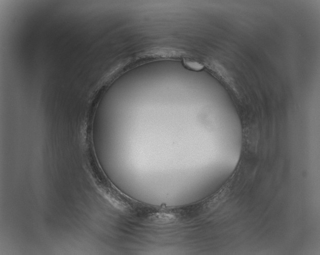 X0000073860159200608241118