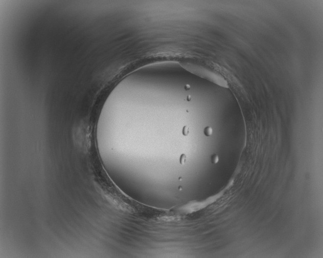 X0000073860160200608241118