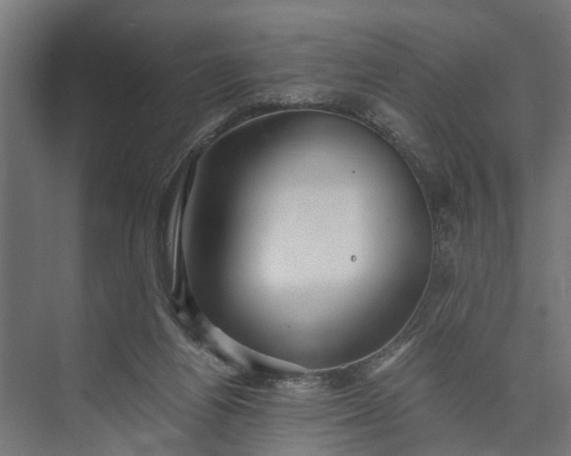 X0000073860164200608241118