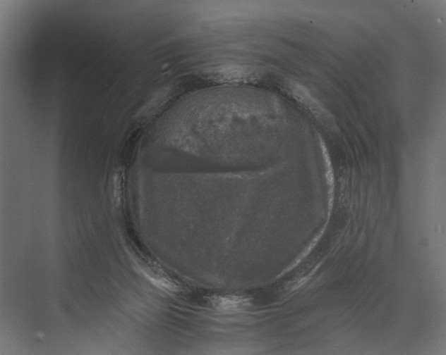 X0000073860165200608241118