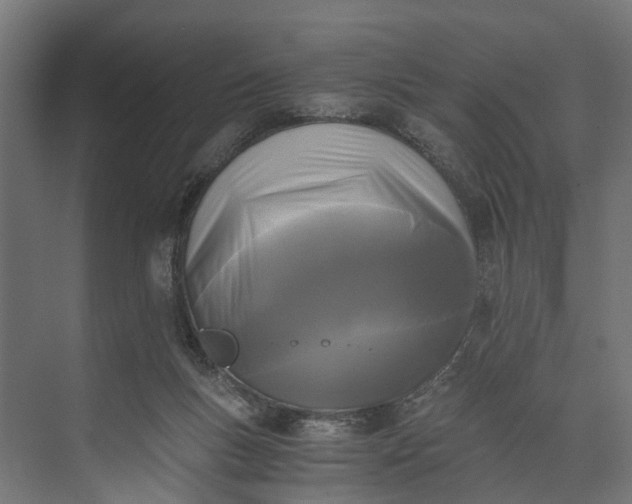 X0000073860167200608241118