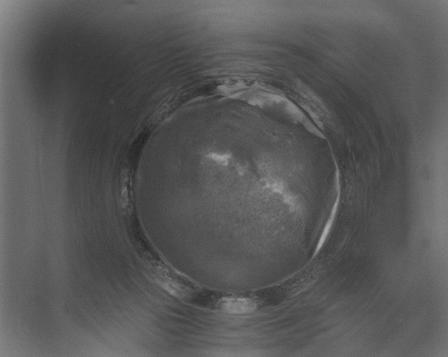 X0000073860169200608241118