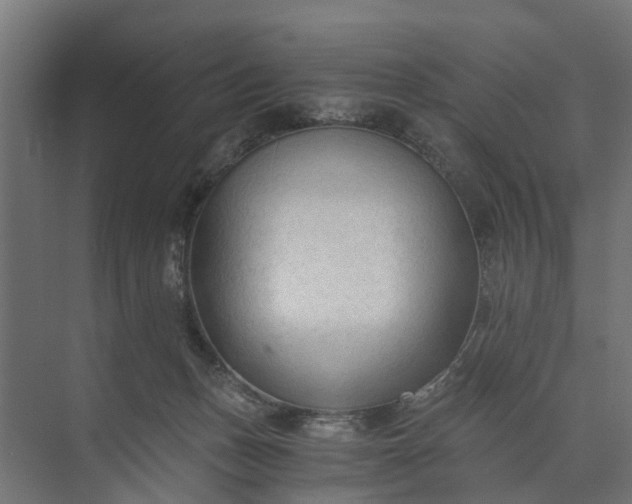 X0000073860175200608241118