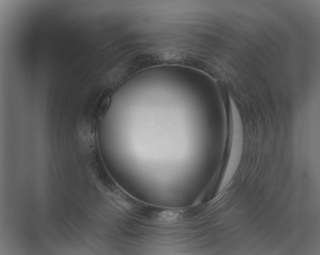 X0000073860176200608241118