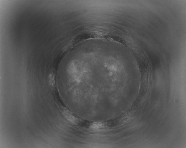 X0000073860177200608241118