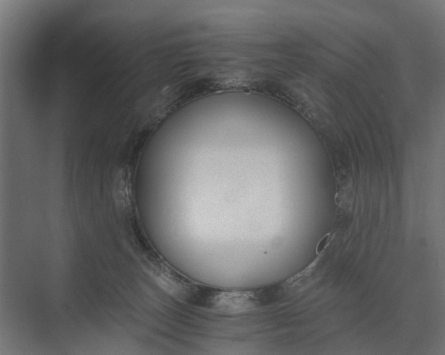 X0000073860179200608241118